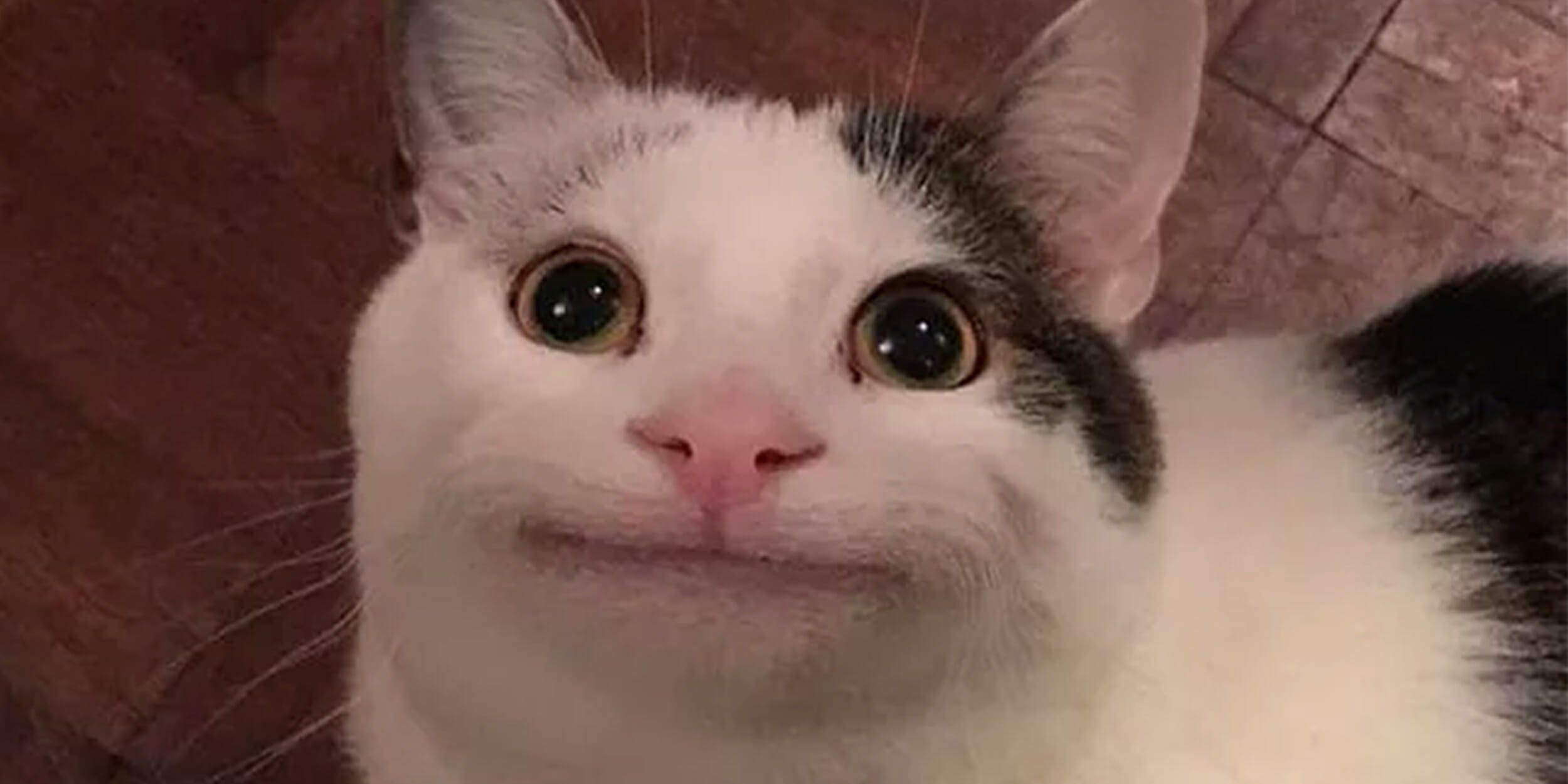��˹�﷭��ͨ ��׿�� �����ͼ
