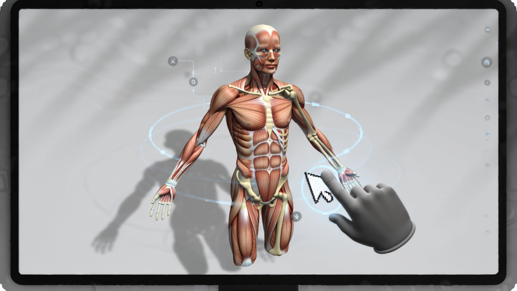 һ��չʾ3DBody����ȫ��ά����ģ�͹��ܵ�ͼƬ������������һ����������Ļ�����3D����ģ�ͣ���һֻ���ƹ���϶���ת��ģ��չʾ�������ļ��������͹��������������Ǽ���ǳ��ɫ������΢�����Ӱ������ִ����Ƽ���ǿ��ϸ�����������ʸɾ��޶���Ԫ�ء�