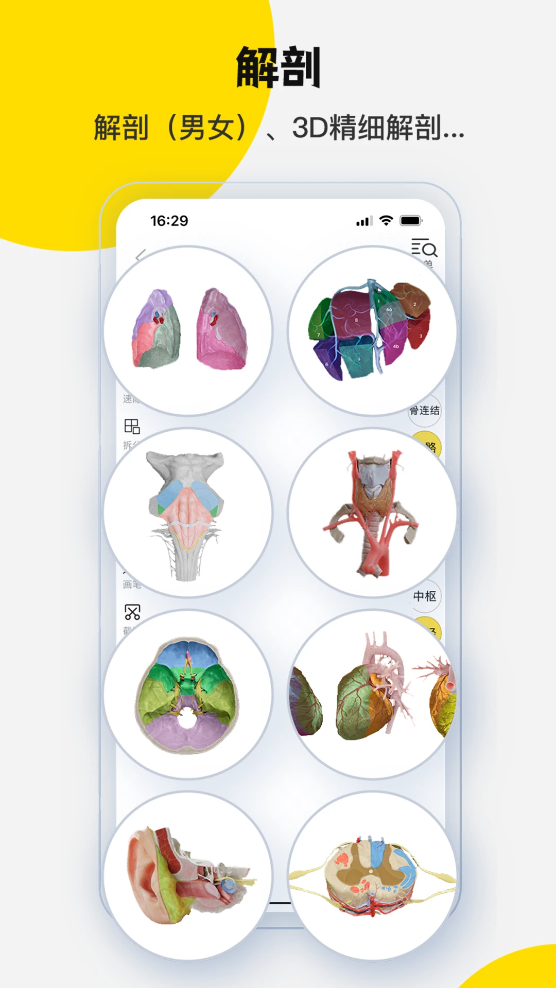 3DBody����-��ά�������ѧϰ��ͼ2