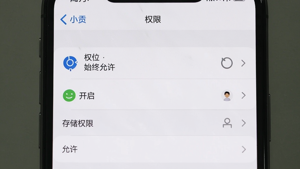 �ֻ���Ļչʾ��С������Ȩ������ҳ�棬�б��ж�λȨ����ʾΪ��ʼ����������֪ͨȨ��Ϊ�����������洢Ȩ��Ϊ��������������Ϊϵͳ���ý����񣬼�����������ʸɾ����޶���Ԫ��