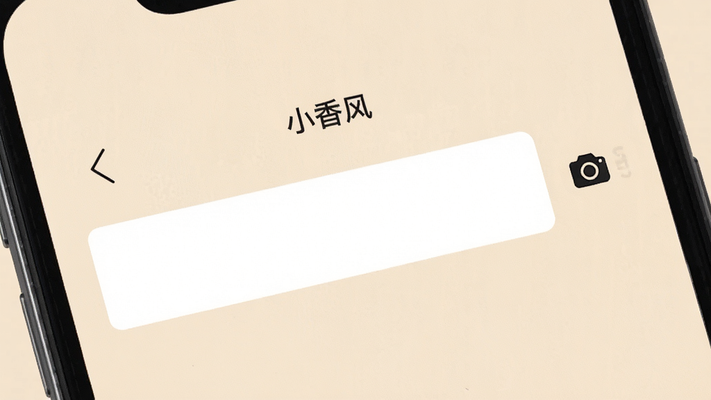 一张手机屏幕特写,屏幕上是“小香风”App的极简记录界面,一个白色的输入框占据主要位置,旁边有一个相机图标,背景是淡雅的纯色,画面风格简约现代,画质干净,无多余元素