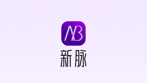 新脉 安卓版 安全设置
